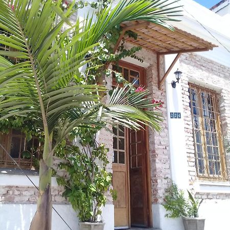 Frida Casa Hostel Pelotas Dış mekan fotoğraf