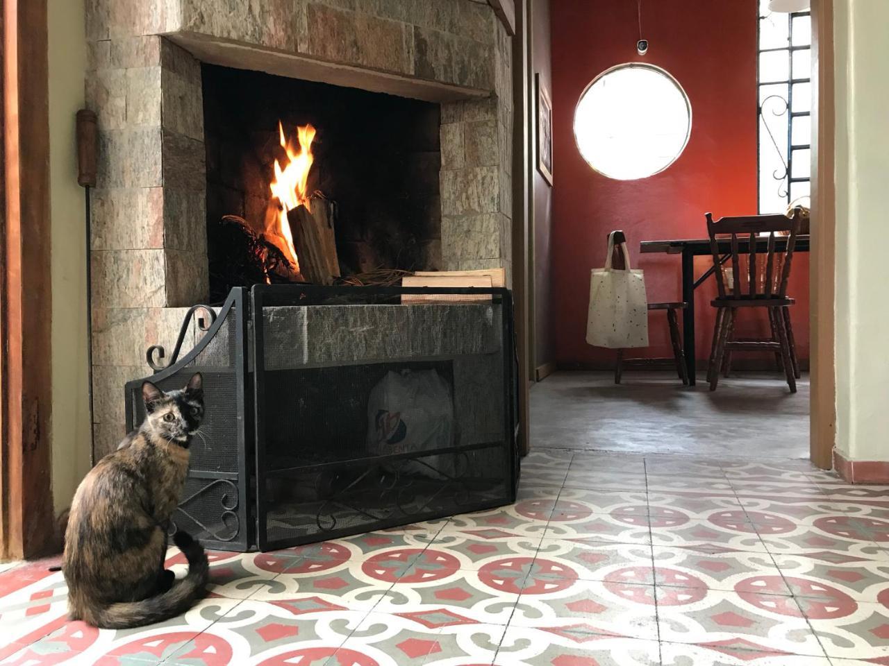 Frida Casa Hostel Pelotas Dış mekan fotoğraf