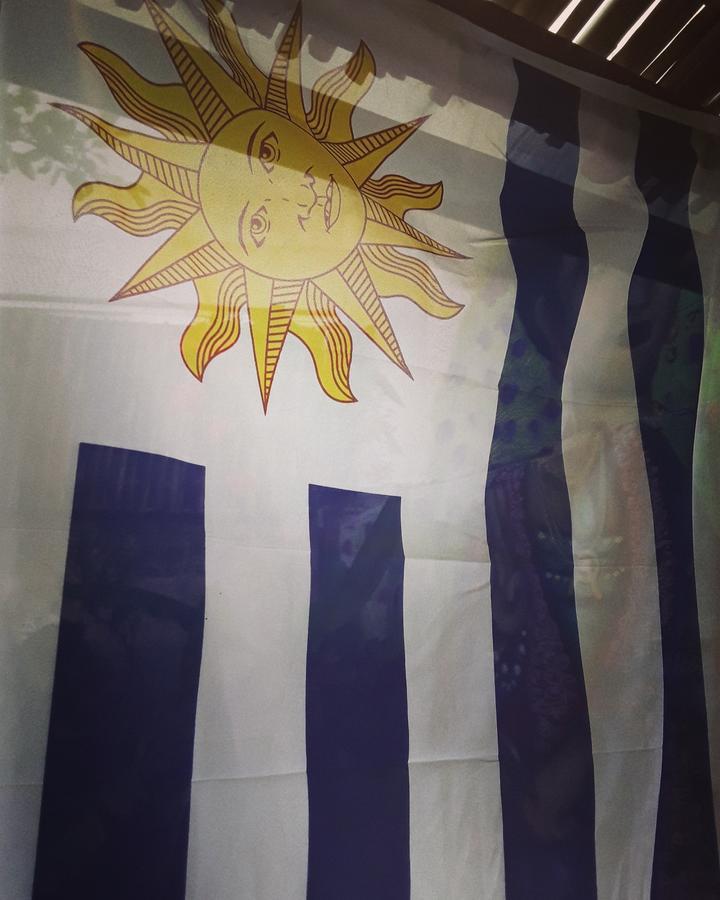 Frida Casa Hostel Pelotas Dış mekan fotoğraf
