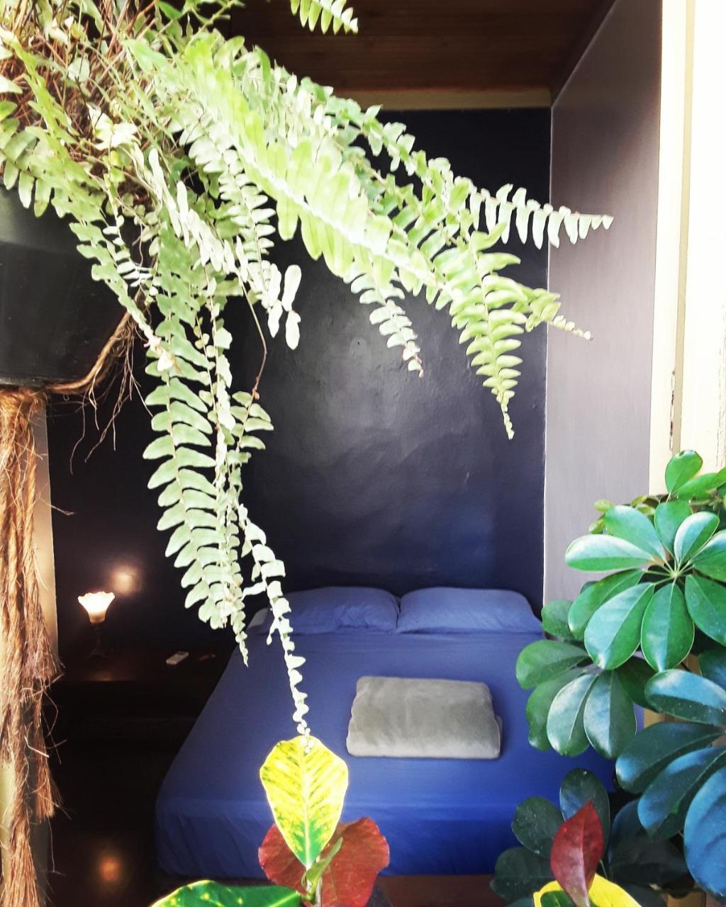 Frida Casa Hostel Pelotas Dış mekan fotoğraf