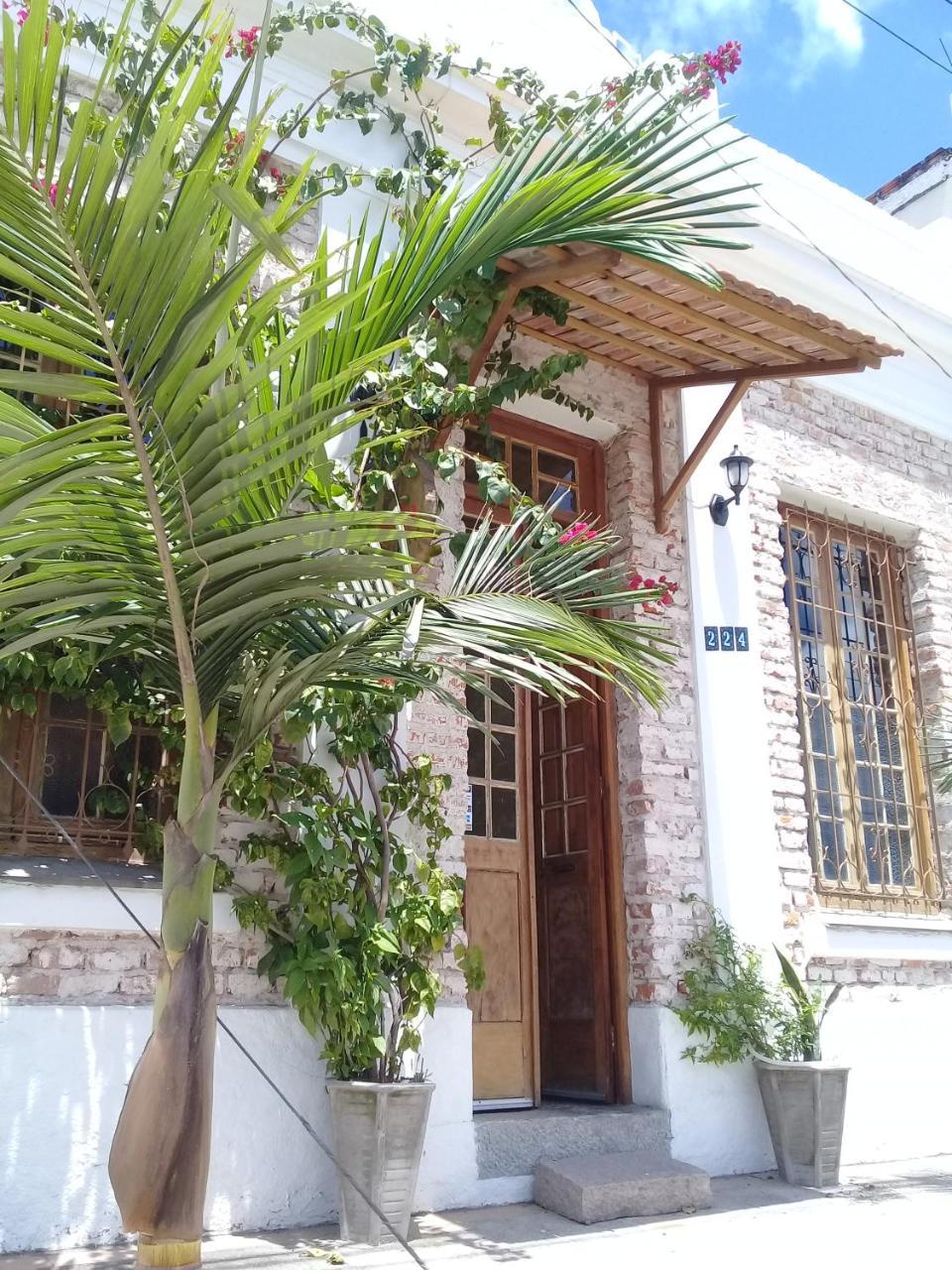 Frida Casa Hostel Pelotas Dış mekan fotoğraf